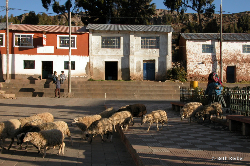 Herding sheep across Amantani's central square