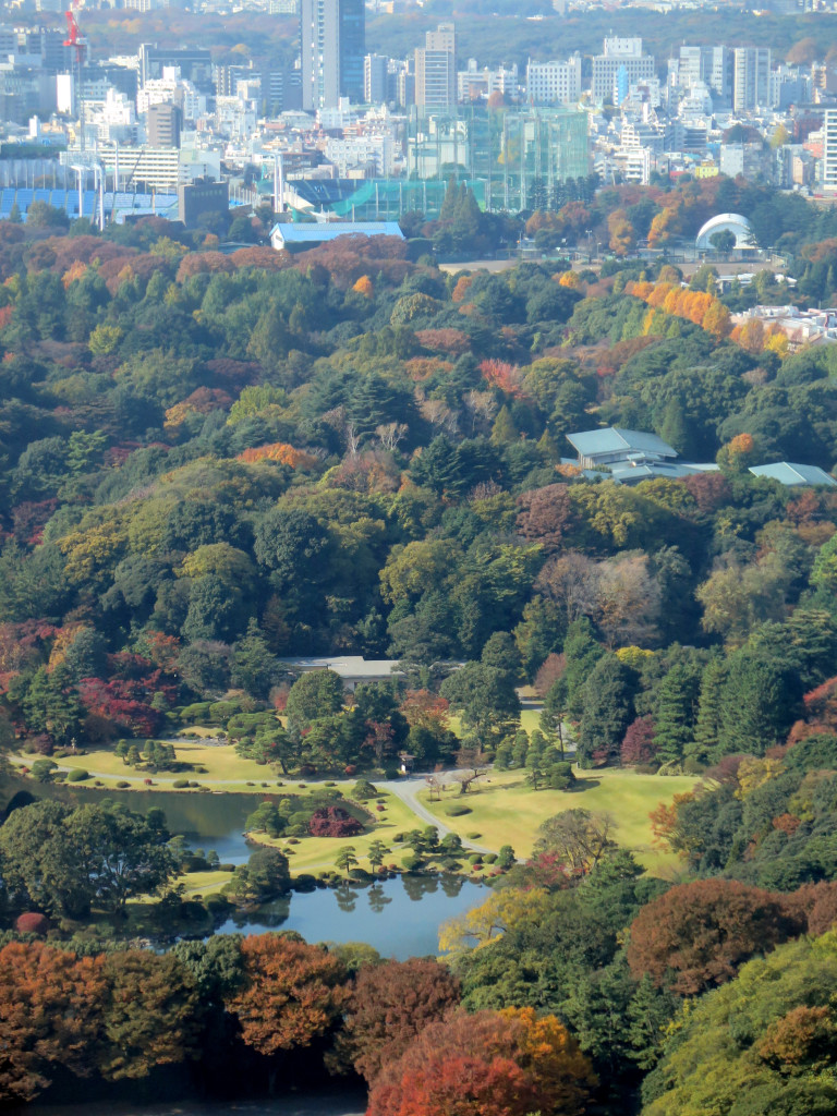 View of Akasaka Palace from my room at Prince Gallery