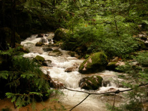 A stream along the Nakasendo