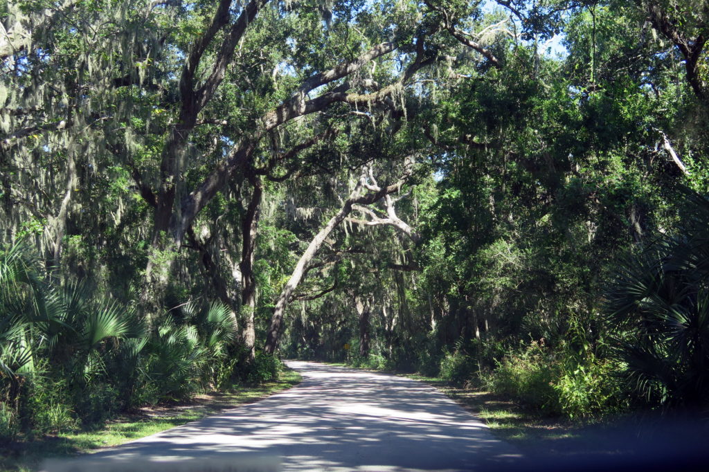 Fort Clinch State Park with its tree canopy road