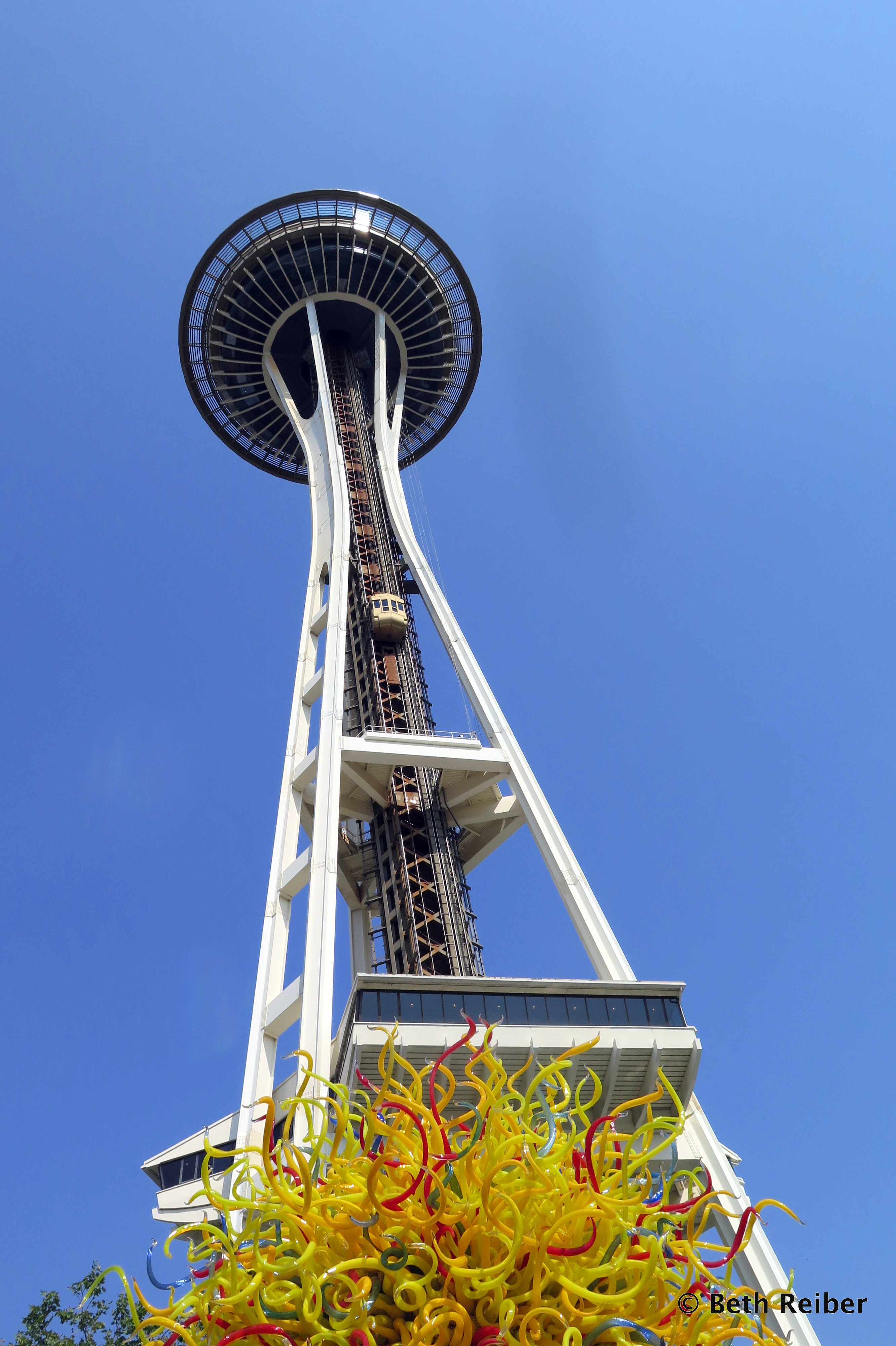 Space Needle as seen from Chihuly Garden and Glass outdoor garden