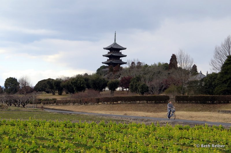 Cycling the Kibiji District near Kurashiki